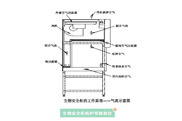 生物安全柜生物检测仪