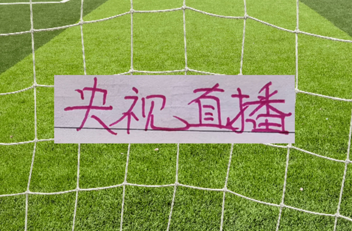 北京国安对阵成都蓉城裁判安排引关注 裁判争议